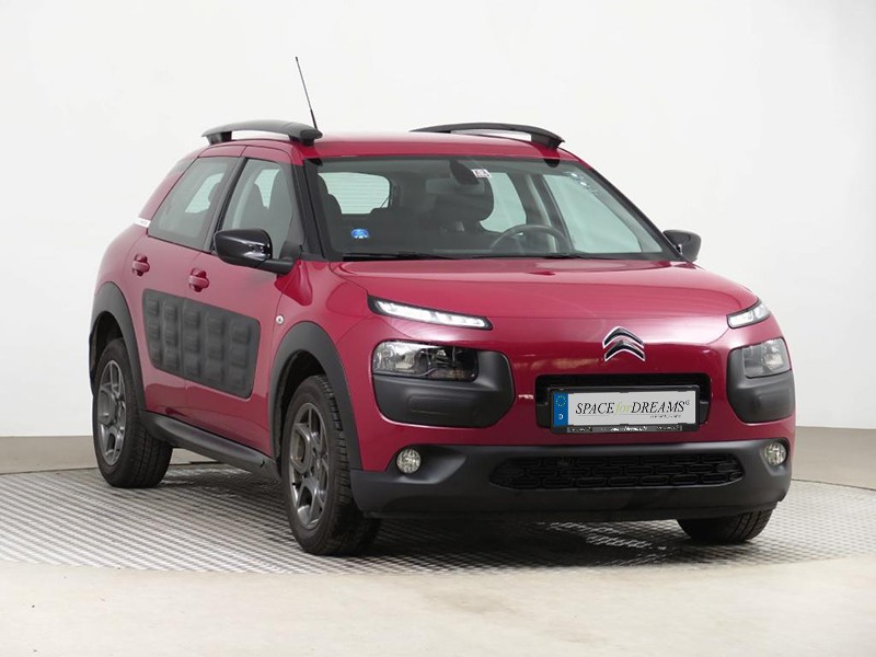 C4 Cactus 2021